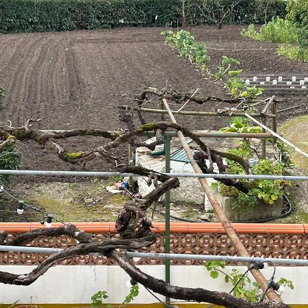 Casinha Da Avo Rosario Apartment Juncal  Bagian luar foto