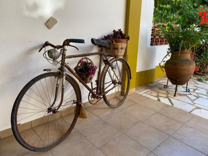 Casinha Da Avo Rosario Apartment Juncal  Bagian luar foto