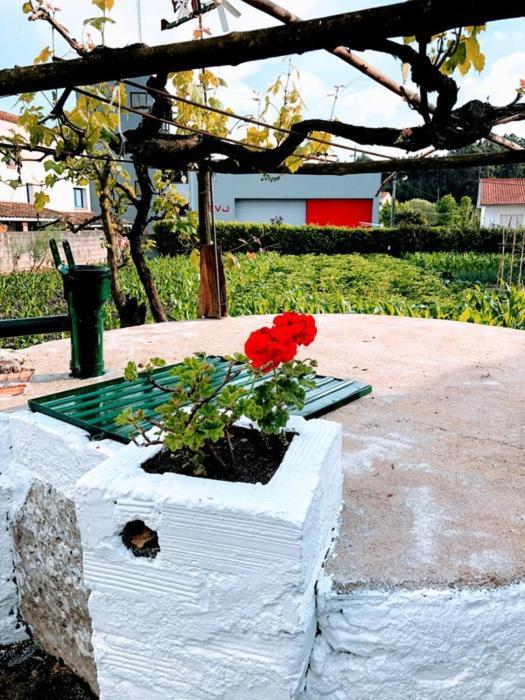 Casinha Da Avo Rosario Apartment Juncal  Bagian luar foto