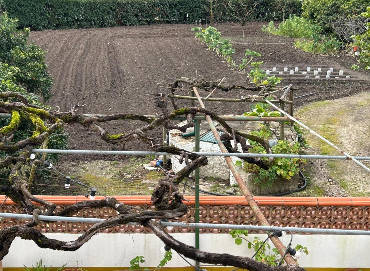 Casinha Da Avo Rosario Apartment Juncal  Bagian luar foto